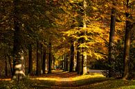 Fietspad door een herfstachtige omgeving par Bram van Broekhoven Aperçu