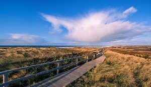 Wintertag auf der Insel Sylt