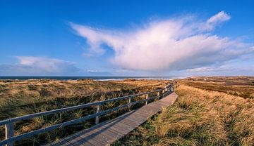 Winterdag op het eiland Sylt van Achim Thomae Photography