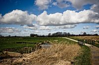 Niederländische Landschaft 1