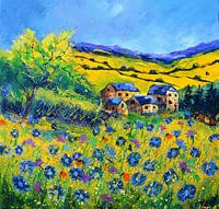 Kornblumen im Sommer