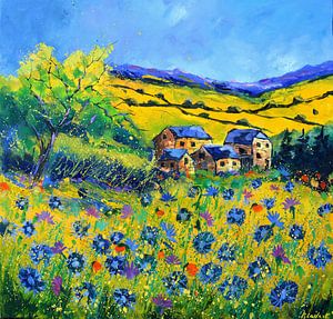 Kornblumen im Sommer