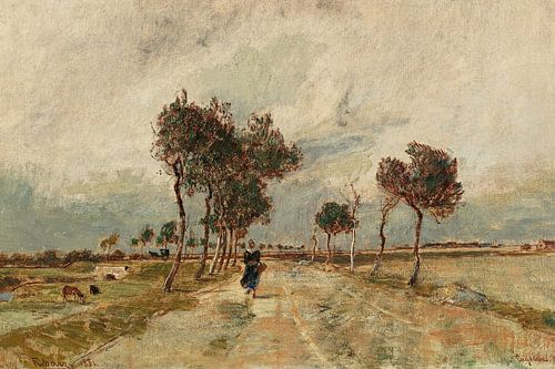 Une avenue à Cayeaux