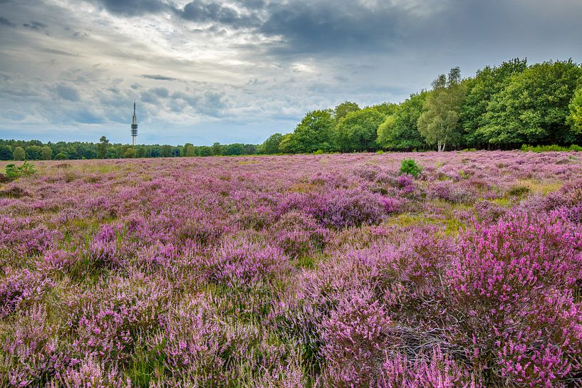 Hilversum von Andy Luberti