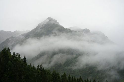 In to the mountains van Marlies van den Hurk Bakker