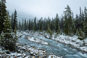 Winterlandschap in de Rocky Mountains van Roland Brack