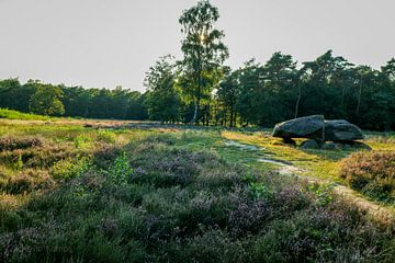 Jägerbetten in Drenthe von Kevin Kamps