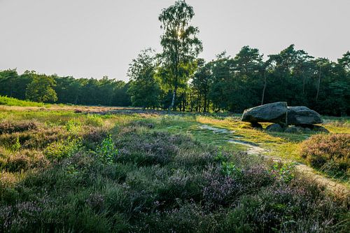 Lits de chasseurs en Drenthe