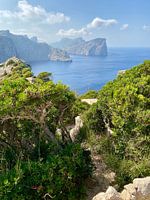 Majorque - Cap de Formentor