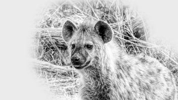 Hyena Afrika van Eric Nagel