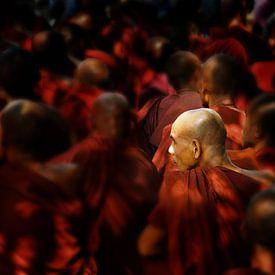 ceremony of monks in Myanmar by luc Utens