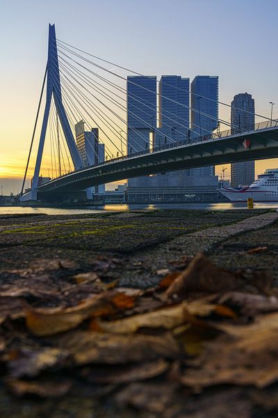 Erasmus-Brücke in Rotterdam im Herbst von Mark De Rooij