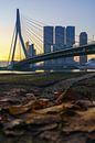 Erasmusbrug in Rotterdam in de herfst van Mark De Rooij thumbnail