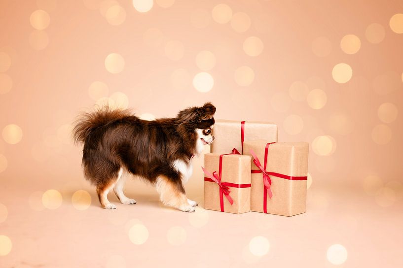 Can the presents be opened yet? by Elisabeth Vandepapeliere