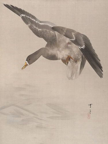 Watanabe Seitei - Duck (1887)