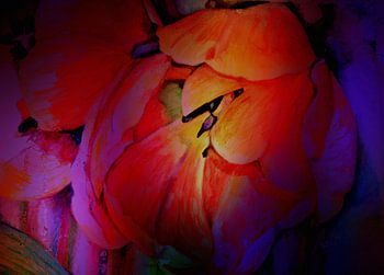Tulips in the eyes of a painter
