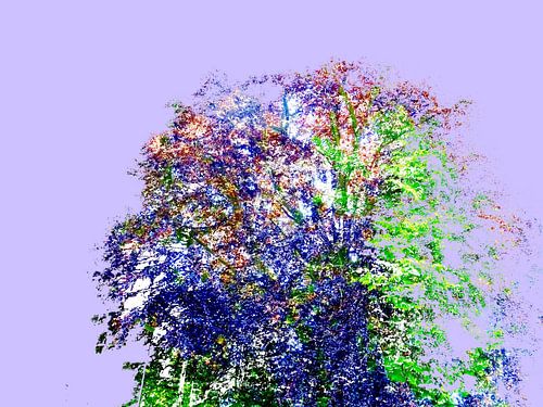 Tree Magic Purple Explosion
