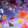 Lucht vol met bloemen van christine b-b müller
