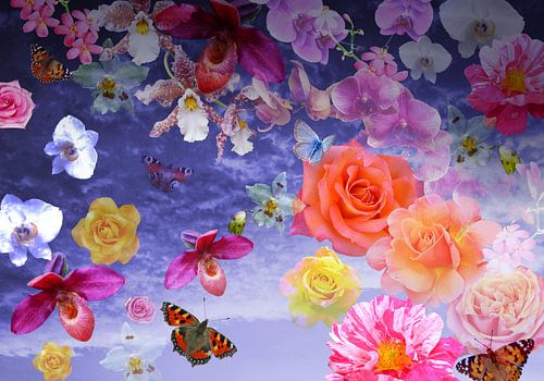 Lucht vol met bloemen