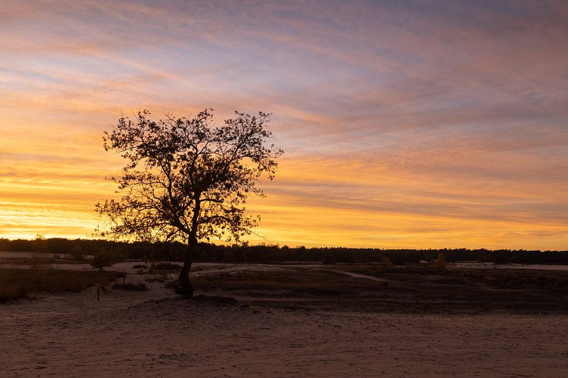 Best Sunset Ever Drunense Duinen by Zwoele Plaatjes