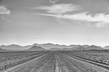 road to nowhere by Ed Dorrestein