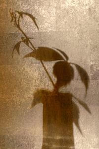 shadow puppets