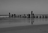 monochrome zee landschappen