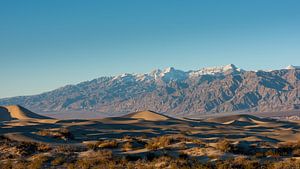 Death Valley - Dünen