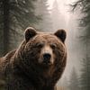 Impressionnant ours brun dans une forêt brumeuse – photo animalière puissante avec une atmosphère naturelle paisible sur Design Wall Arts