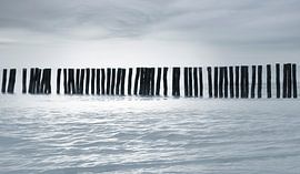 2036 Barcode in Blue by Adrien Hendrickx