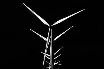 Windmolens in zwart-wit van Rinus Lasschuyt Fotografie