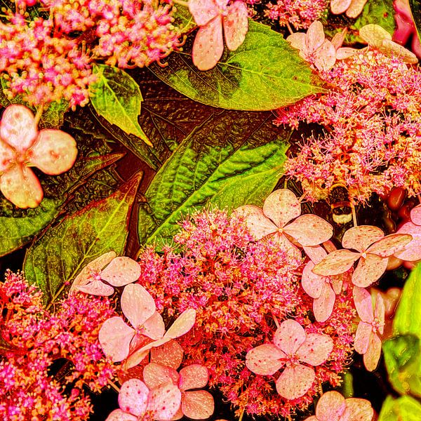 Digital Art Medium Blumen von Hendrik-Jan Kornelis