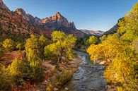 Zonsopgang in Zion National Park van Markus Lange thumbnail