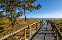Sehnsuchtsblick Ostseestrand