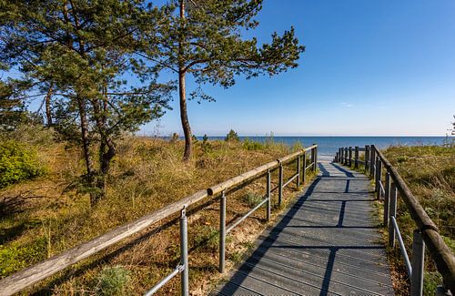 Verlangend uitzicht Baltische Zee strand