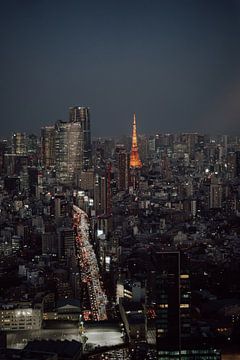 Die Skyline von Tokio mit dem ikonischen Tokyo Tower in der Mitte. von Sharon Kastelijns