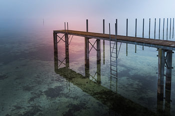 Nebelstimmung am Bodensee auf der Halbinsel Höri