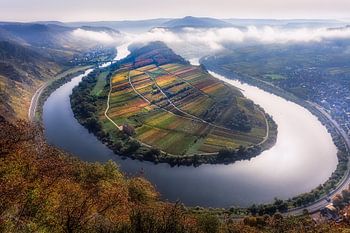 Foggy morning at Bremm