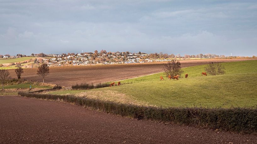 Hulst by Rob Boon