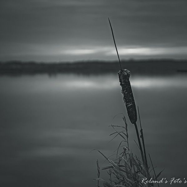heartfelt condolences @ t Roegwold by Roland's Foto's