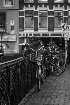 Leven aan de Amsterdamse Gracht van Rafaëla Kartowirjo