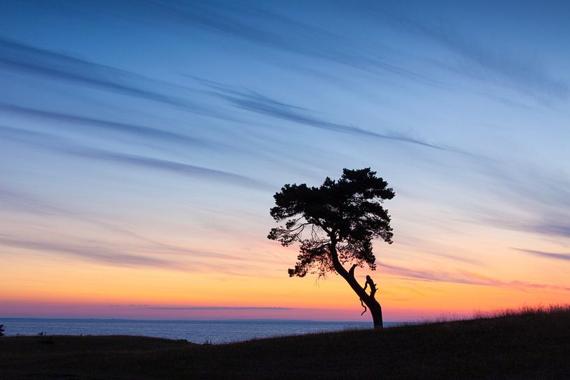 Pin Haväng par Sven-Erik Arndt