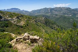 Grüne Berglandschaft im Frühling