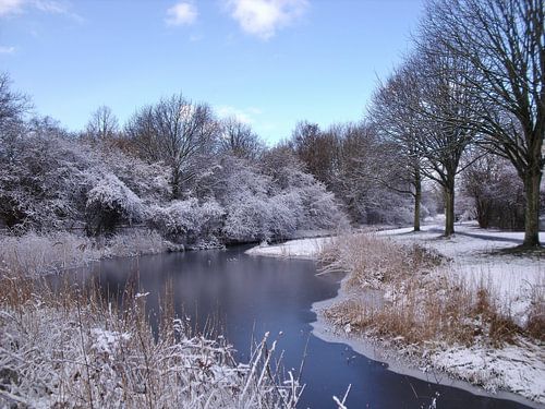 Helder winterlandschap