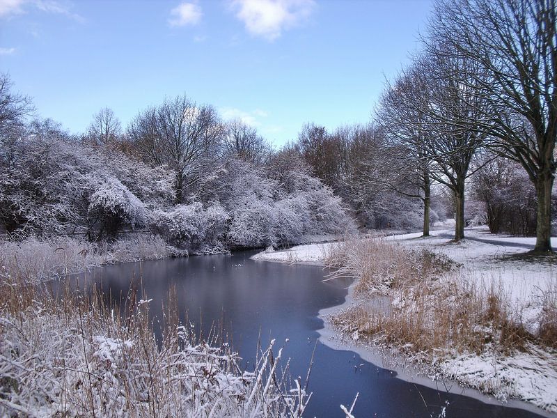 Helder winterlandschap by Pieter Korstanje