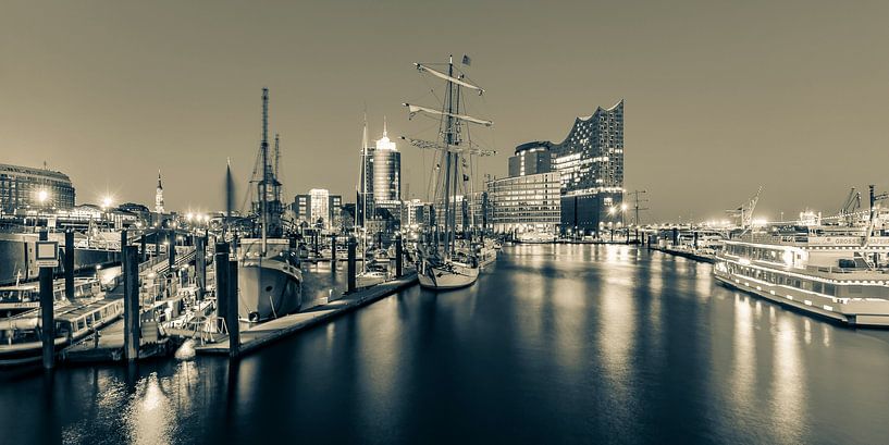 Hamburger Hafen mit Elbphilharmonie in Hamburg - Monochrom von Werner Dieterich