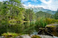 An idyllic view of the Fernsteinsee lake