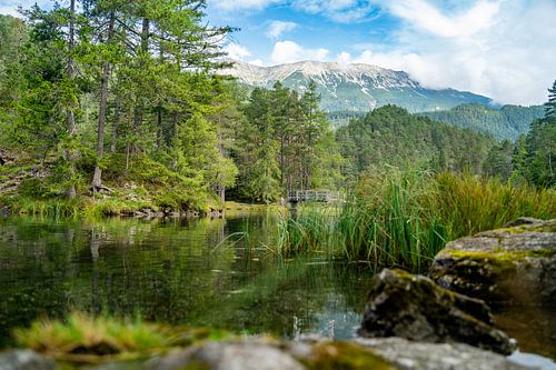 Een idyllisch uitzicht op de Fernsteinsee van Mandy Faulhaber