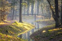 Magische ochtend op landgoed Heidestein!
