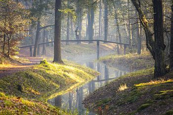 Magische ochtend op landgoed Heidestein!